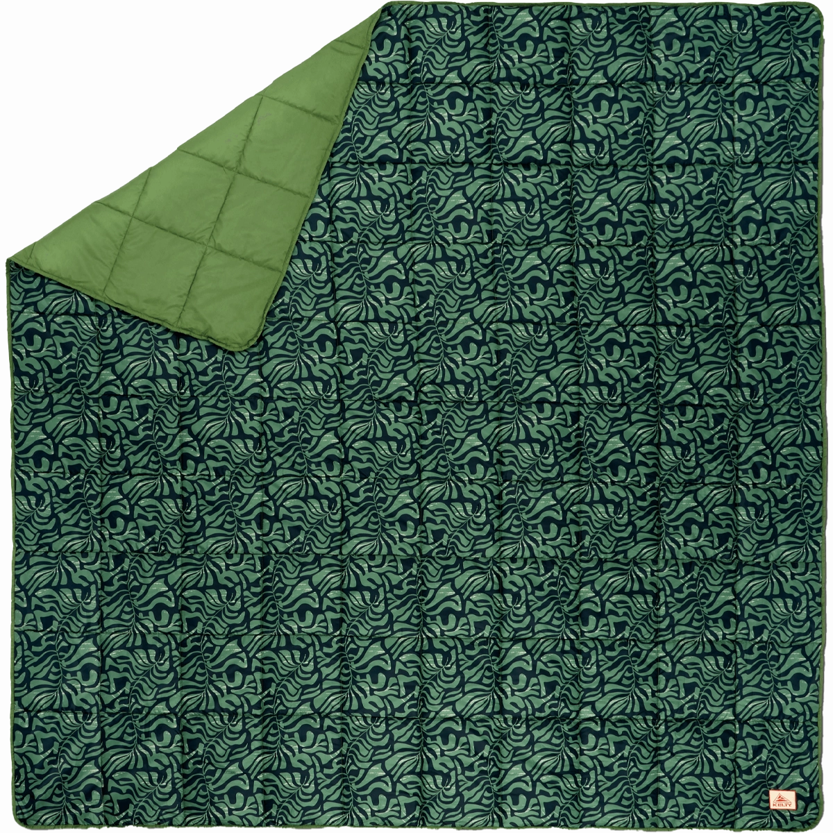 Biggie Blanket