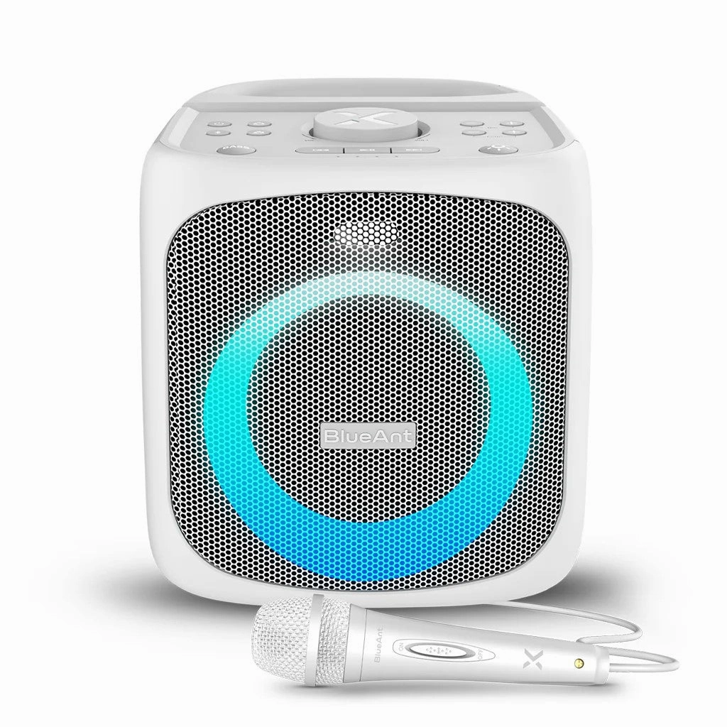 BlueAnt X4 Portable 50W Bluetooth Party Speaker