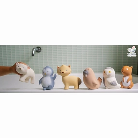 My First Arctic Animals VARIOUS STYLES