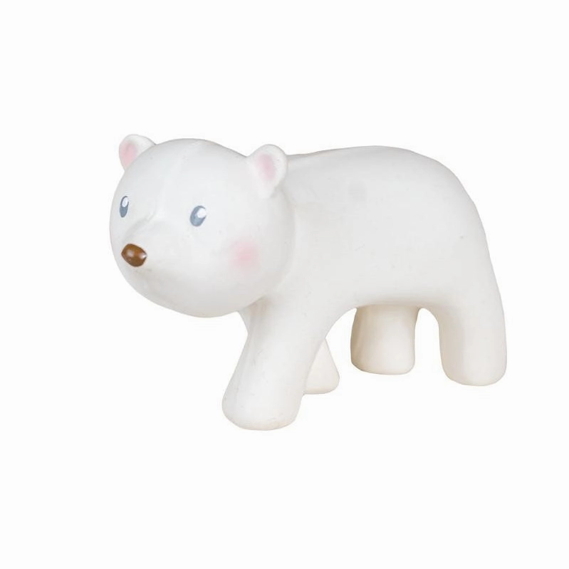My First Arctic Animals VARIOUS STYLES