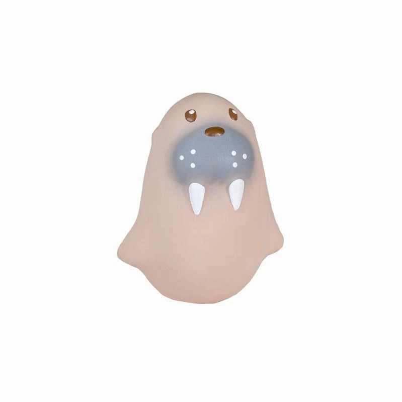 My First Arctic Animals VARIOUS STYLES