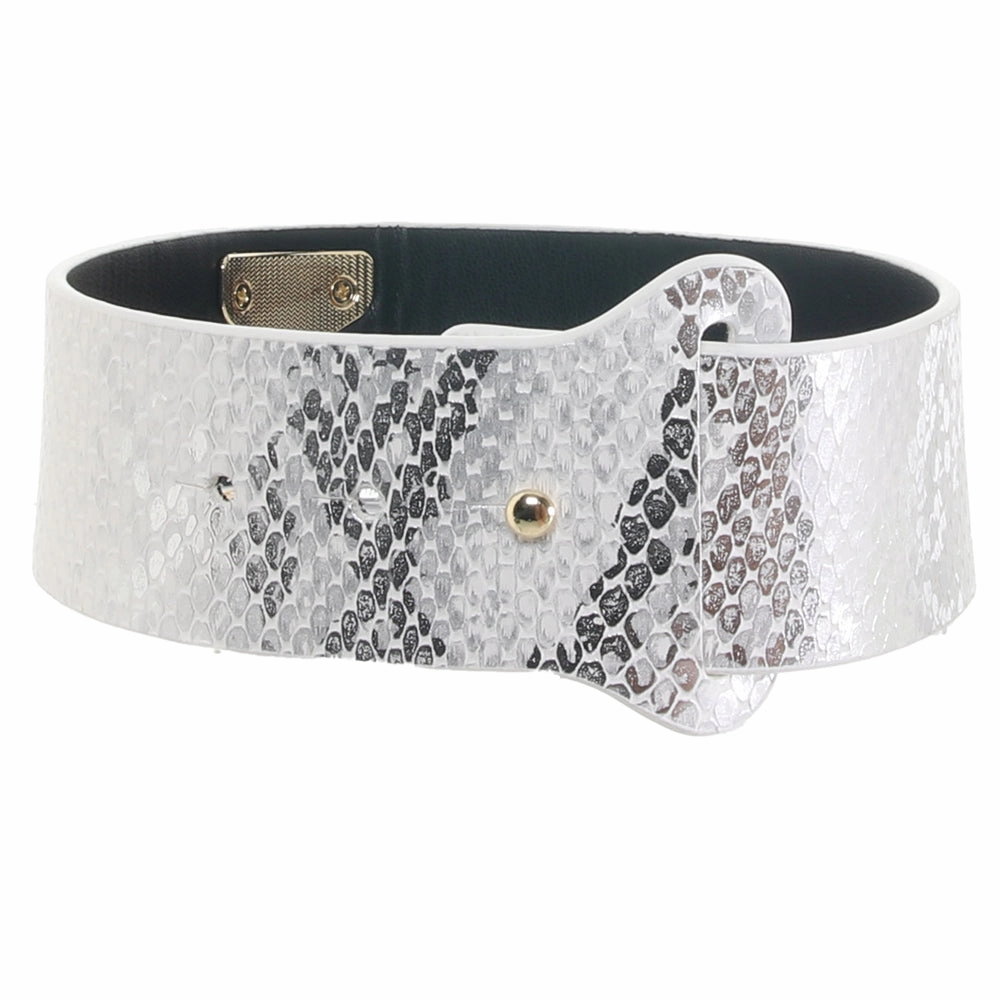 Ouch! Florence Collection Collar & Leash