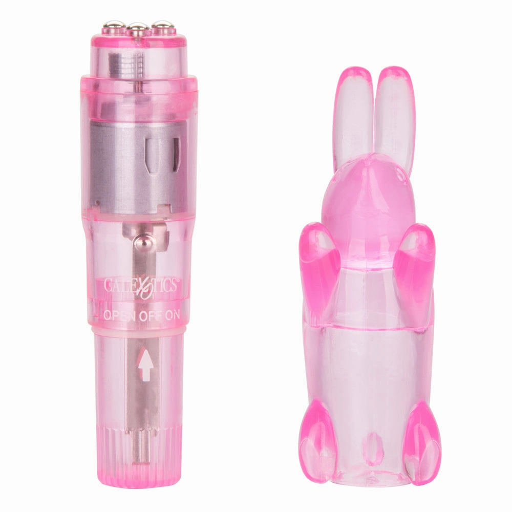 Shane's World Pocket Party Mini Vibrator With Rabbit Sleeve