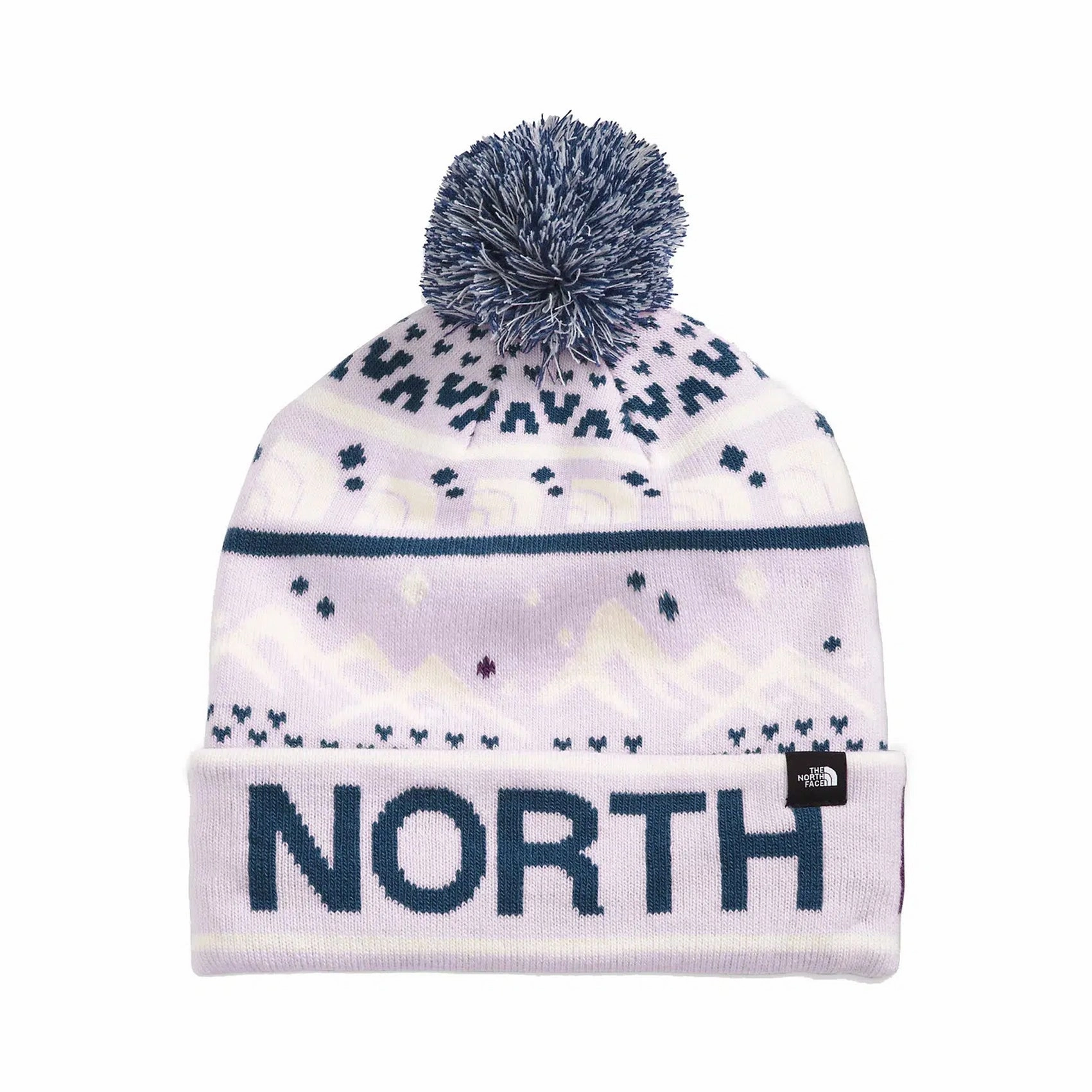 The North Face Ski Tube Beanie