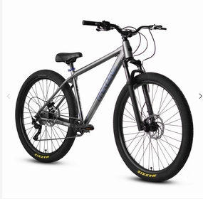 Throne Cycles The Dime MTX-Dime Metal Grey BMX Bike